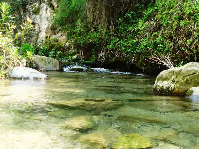 River pools in the Akchour gorge