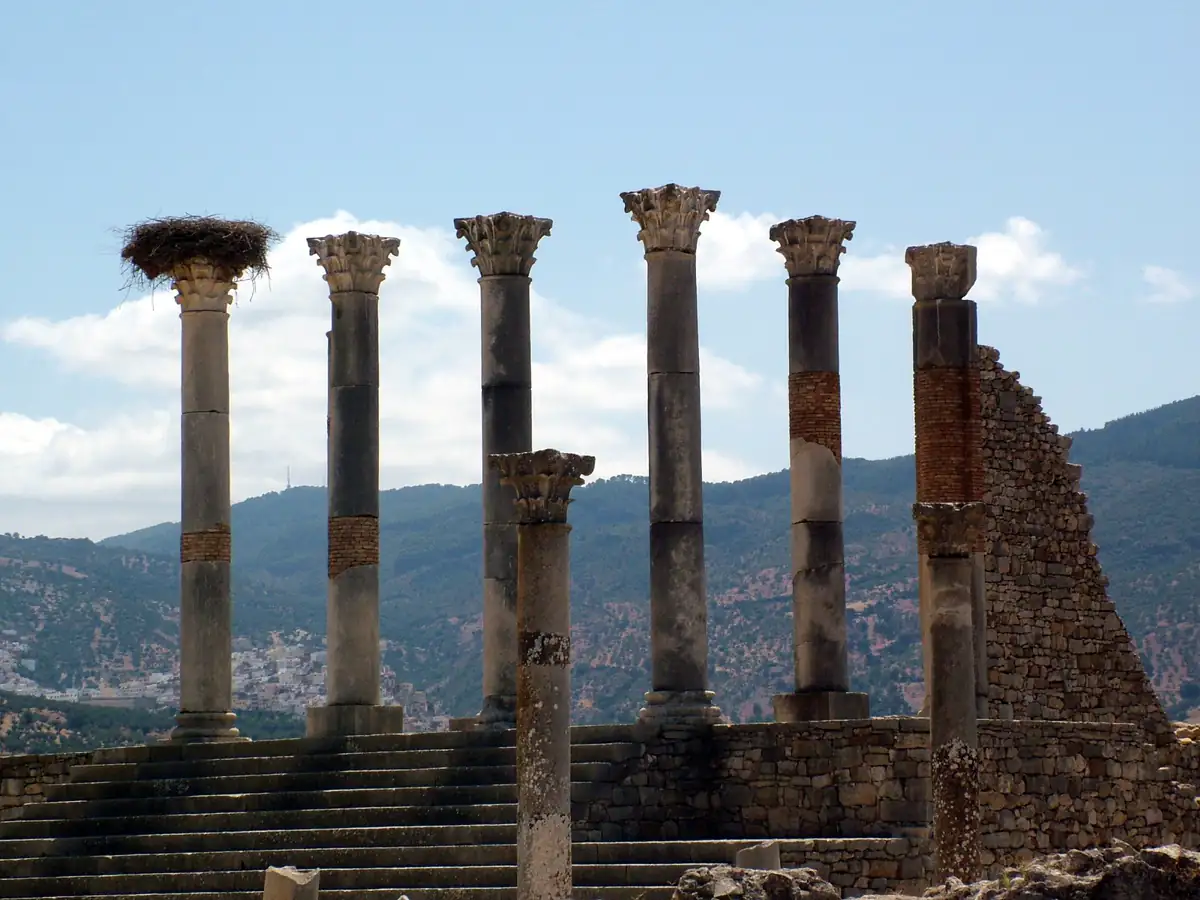 Roman columns standing in the ruins of Volubilis near Meknes
